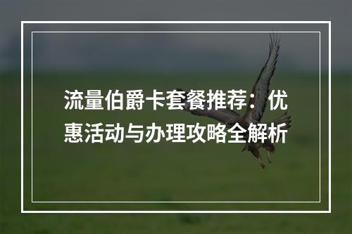 流量伯爵卡套餐推荐：优惠活动与办理攻略全解析