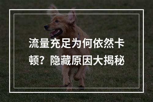 流量充足为何依然卡顿？隐藏原因大揭秘