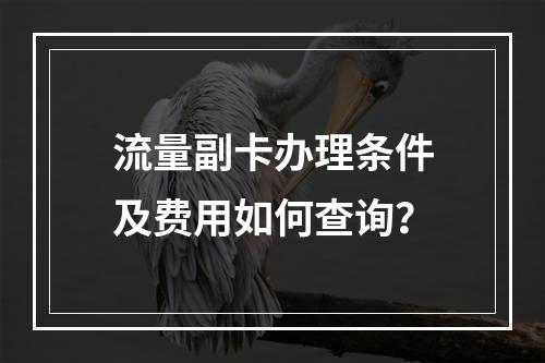 流量副卡办理条件及费用如何查询？