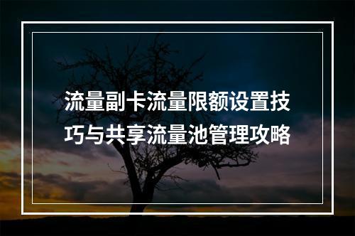 流量副卡流量限额设置技巧与共享流量池管理攻略