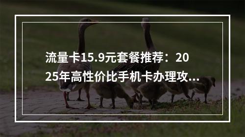 流量卡15.9元套餐推荐：2025年高性价比手机卡办理攻略