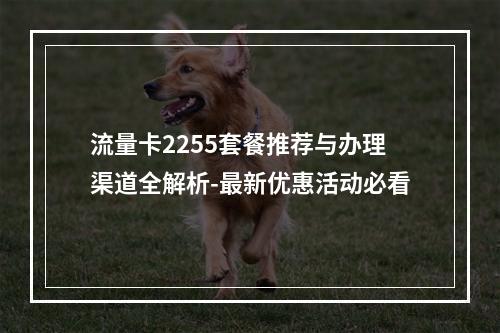 流量卡2255套餐推荐与办理渠道全解析-最新优惠活动必看