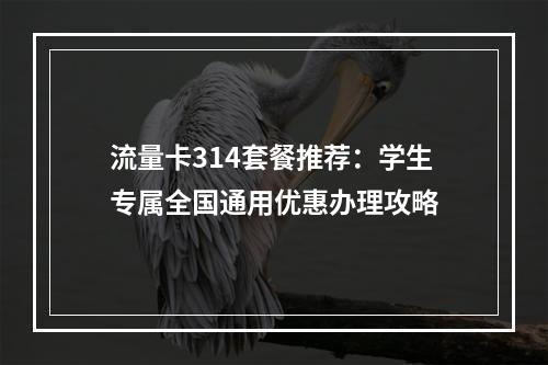 流量卡314套餐推荐：学生专属全国通用优惠办理攻略