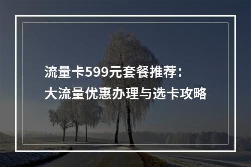 流量卡599元套餐推荐：大流量优惠办理与选卡攻略