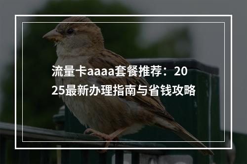 流量卡aaaa套餐推荐：2025最新办理指南与省钱攻略