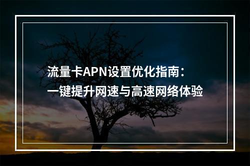 流量卡APN设置优化指南：一键提升网速与高速网络体验