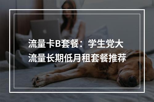 流量卡B套餐：学生党大流量长期低月租套餐推荐