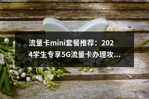 流量卡mini套餐推荐：2024学生专享5G流量卡办理攻略