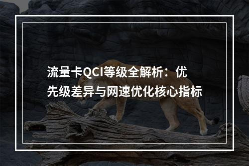 流量卡QCI等级全解析：优先级差异与网速优化核心指标