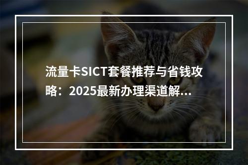 流量卡SICT套餐推荐与省钱攻略：2025最新办理渠道解析