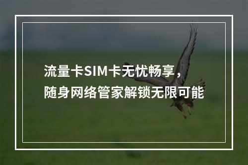 流量卡SIM卡无忧畅享，随身网络管家解锁无限可能