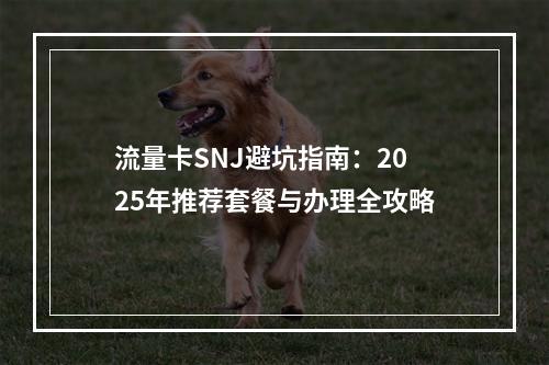 流量卡SNJ避坑指南：2025年推荐套餐与办理全攻略