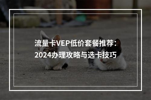 流量卡VEP低价套餐推荐：2024办理攻略与选卡技巧