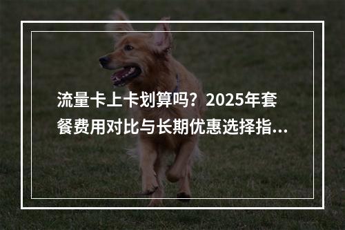 流量卡上卡划算吗？2025年套餐费用对比与长期优惠选择指南
