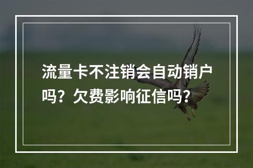流量卡不注销会自动销户吗？欠费影响征信吗？