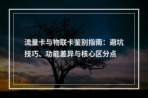 流量卡与物联卡鉴别指南：避坑技巧、功能差异与核心区分点