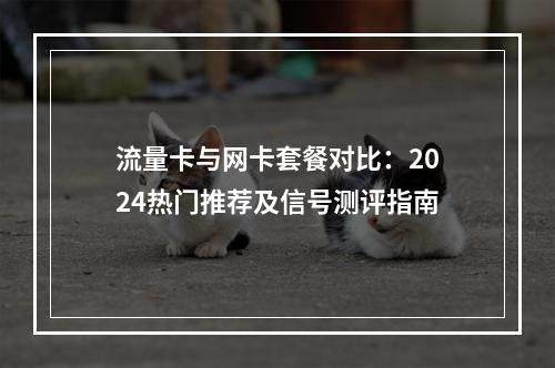 流量卡与网卡套餐对比：2024热门推荐及信号测评指南