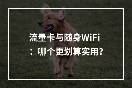 流量卡与随身WiFi：哪个更划算实用？