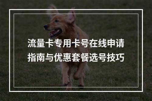流量卡专用卡号在线申请指南与优惠套餐选号技巧