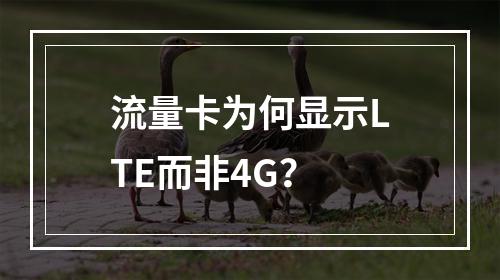 流量卡为何显示LTE而非4G？