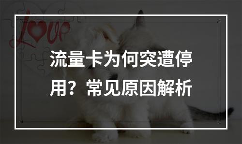 流量卡为何突遭停用？常见原因解析
