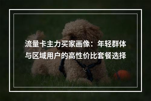 流量卡主力买家画像：年轻群体与区域用户的高性价比套餐选择