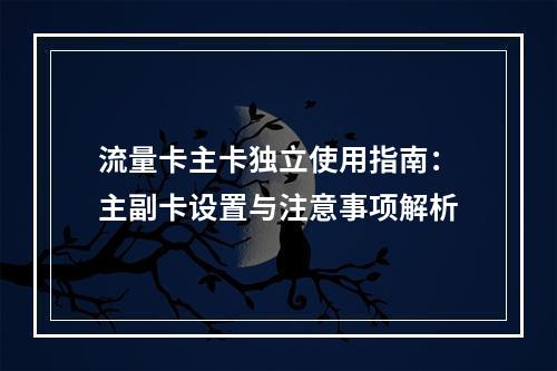 流量卡主卡独立使用指南：主副卡设置与注意事项解析