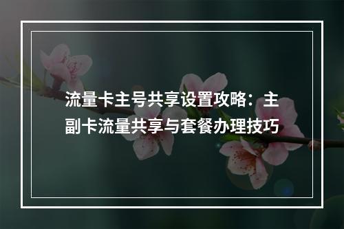 流量卡主号共享设置攻略：主副卡流量共享与套餐办理技巧