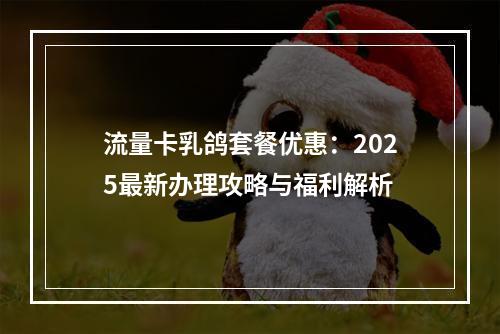 流量卡乳鸽套餐优惠：2025最新办理攻略与福利解析