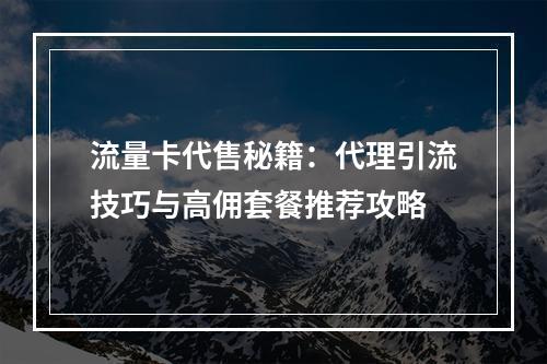 流量卡代售秘籍：代理引流技巧与高佣套餐推荐攻略