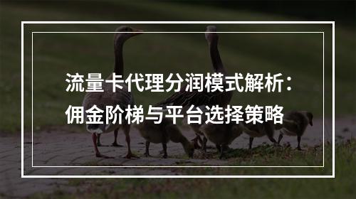 流量卡代理分润模式解析：佣金阶梯与平台选择策略