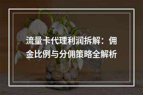 流量卡代理利润拆解：佣金比例与分佣策略全解析