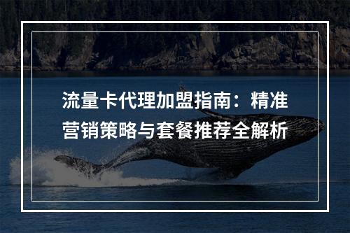 流量卡代理加盟指南：精准营销策略与套餐推荐全解析