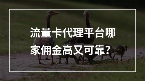 流量卡代理平台哪家佣金高又可靠？