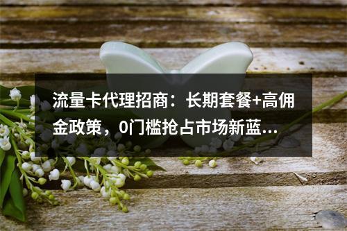 流量卡代理招商：长期套餐+高佣金政策，0门槛抢占市场新蓝海