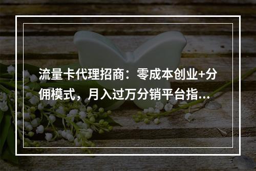 流量卡代理招商：零成本创业+分佣模式，月入过万分销平台指南