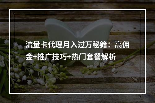 流量卡代理月入过万秘籍：高佣金+推广技巧+热门套餐解析