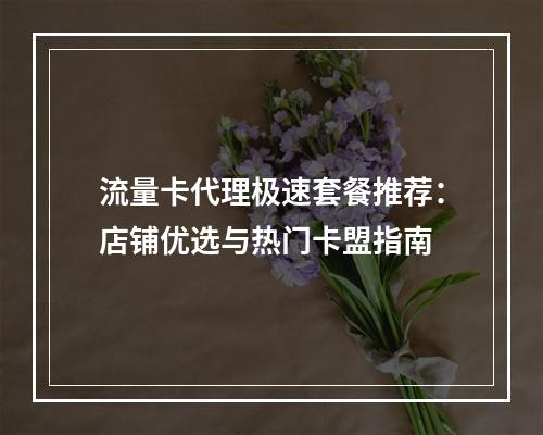 流量卡代理极速套餐推荐：店铺优选与热门卡盟指南
