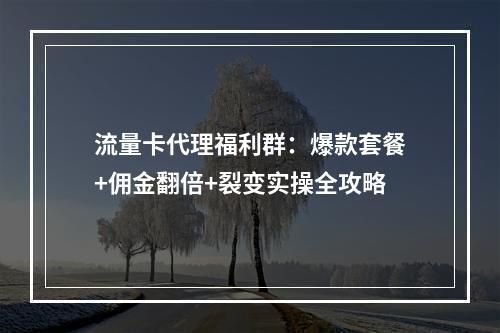 流量卡代理福利群：爆款套餐+佣金翻倍+裂变实操全攻略