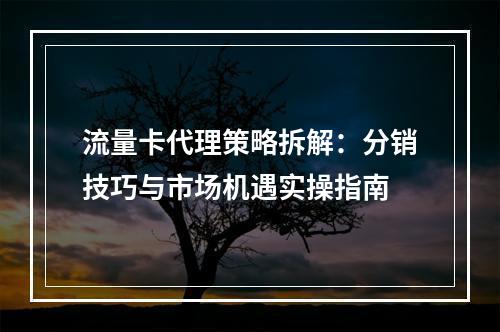 流量卡代理策略拆解：分销技巧与市场机遇实操指南
