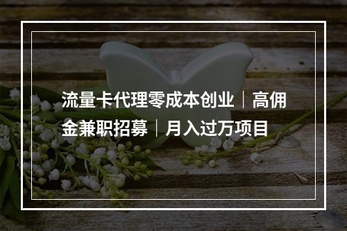 流量卡代理零成本创业｜高佣金兼职招募｜月入过万项目