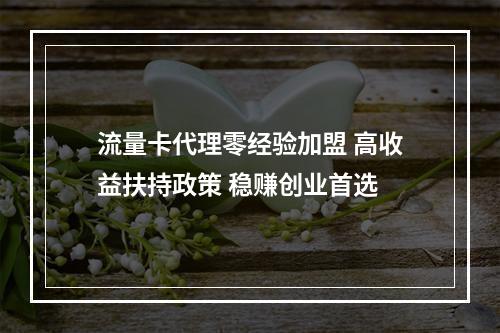 流量卡代理零经验加盟 高收益扶持政策 稳赚创业首选