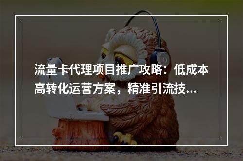 流量卡代理项目推广攻略：低成本高转化运营方案，精准引流技巧解析