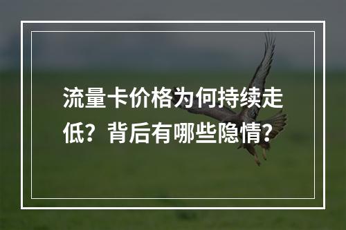 流量卡价格为何持续走低？背后有哪些隐情？