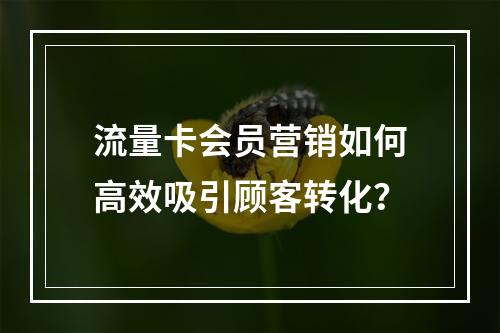 流量卡会员营销如何高效吸引顾客转化？