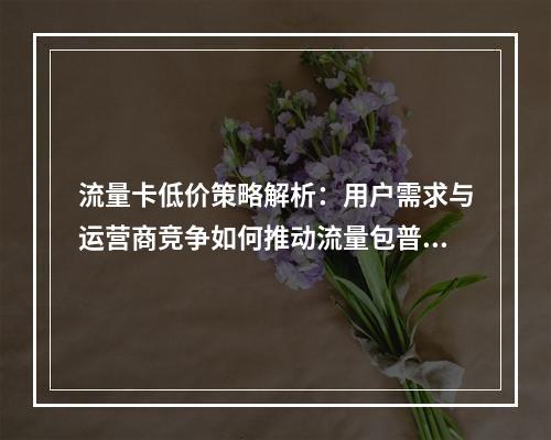 流量卡低价策略解析：用户需求与运营商竞争如何推动流量包普及