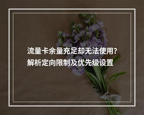 流量卡余量充足却无法使用？解析定向限制及优先级设置