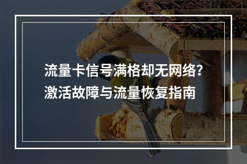 流量卡信号满格却无网络？激活故障与流量恢复指南