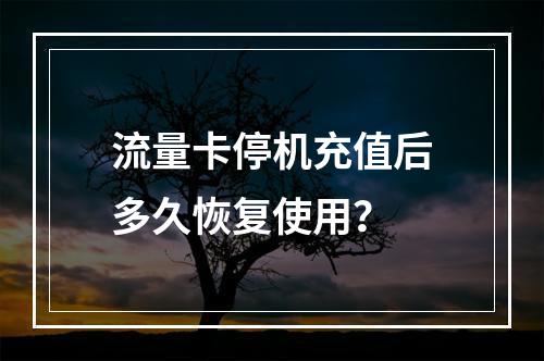 流量卡停机充值后多久恢复使用？