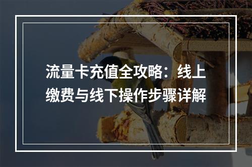 流量卡充值全攻略：线上缴费与线下操作步骤详解